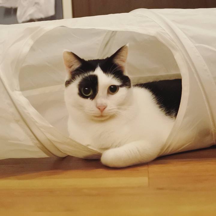 63b1e49c 6287 4558 ad84 5a9af4d5164f 1545467986182