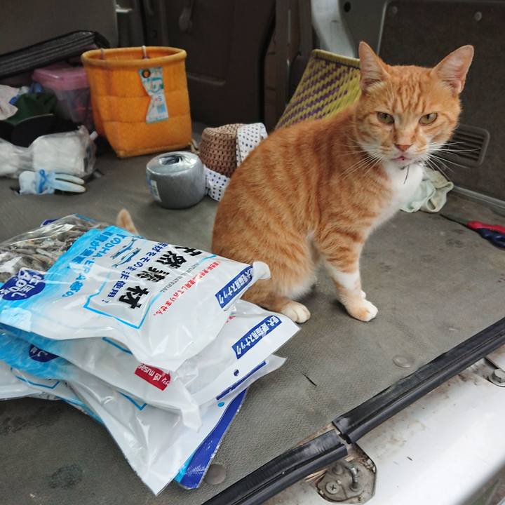 63b1e59b 2768 4c2f aadd 3d2e22d58ba6 1595840457906