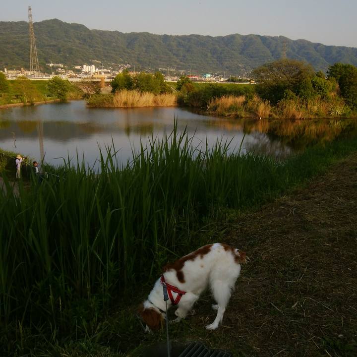 63b1e966 bc22 412d 9c23 7ea2fe9d18ef 1525004216822