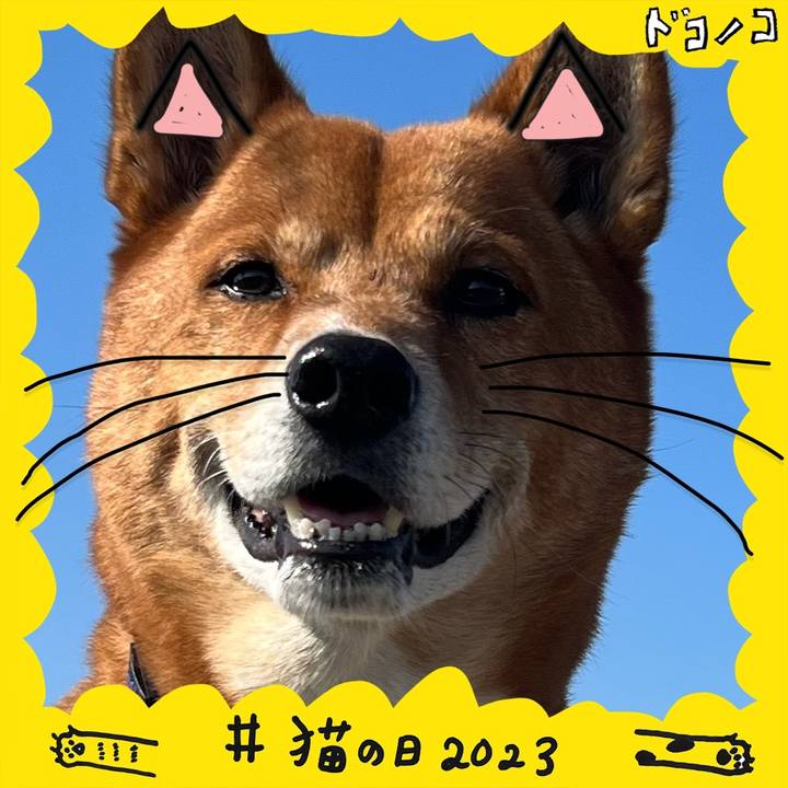 63b21b26 c11b 410a 89fa eb2148690f24 1677072248356