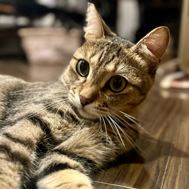 63b220ec 964d 44ea 91f6 cde0e4c03fbe 1758371370350