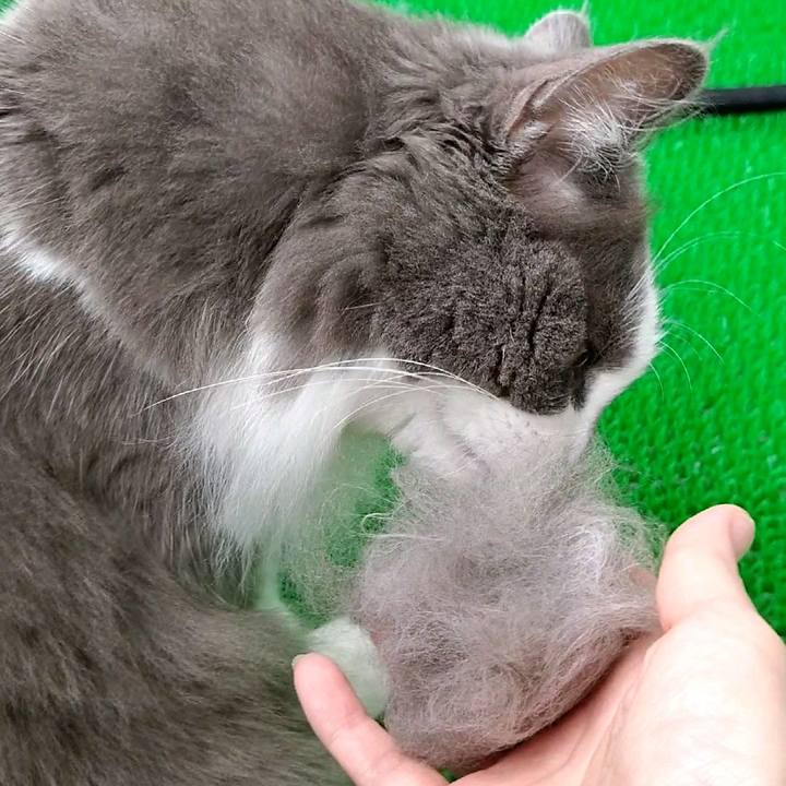 63b27fd6 fdea 42a5 8625 b4e5fc9b09cd 1595474089632