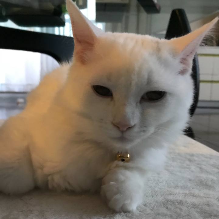 63b284ab f269 473a 8863 94c5e37e904b 1512687453959