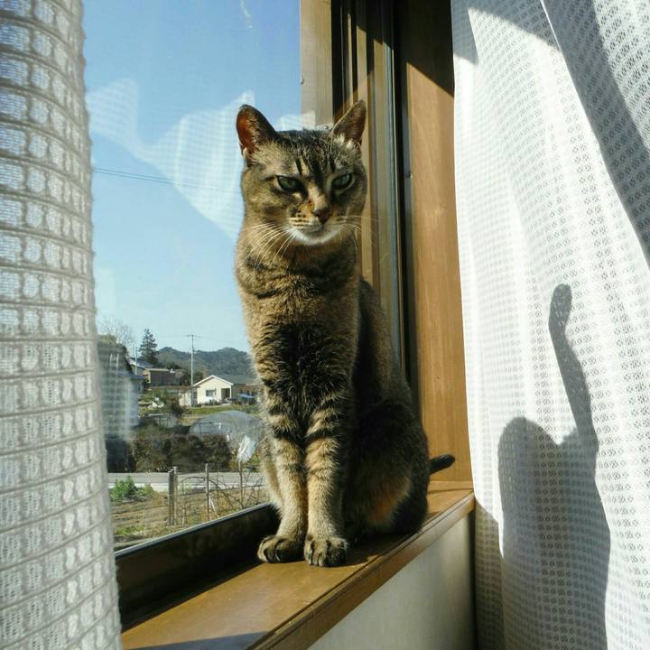 63b29ec9 3666 446d 9e41 67204080133e 1552374741546