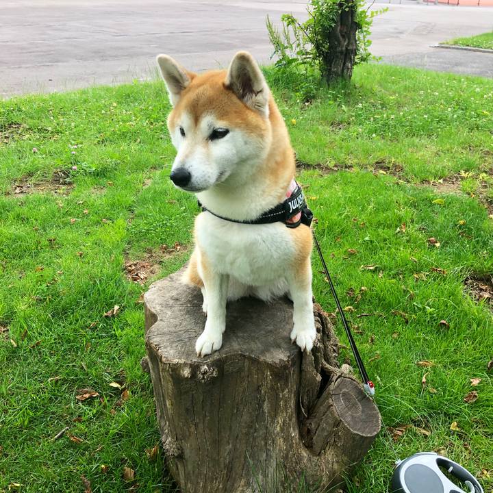 63b2bcd8 809d 469e 9b40 0c59ff3b530e 1594605300142