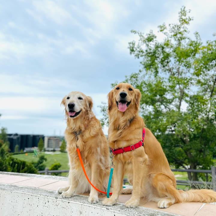 63b2c729 f970 4389 90e5 56e52ca2a743 1758613453811