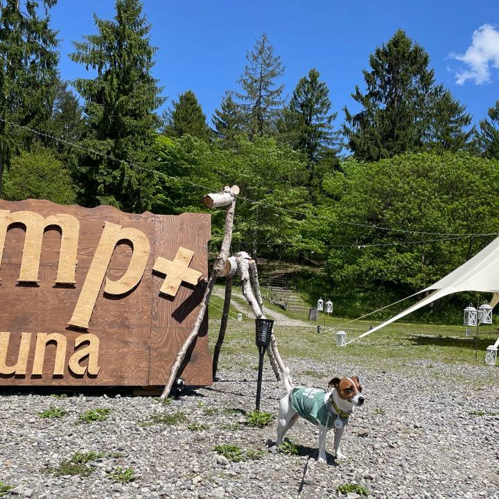 63b2dbe1 9dec 4a50 b53d f5c7ab05128e 1653725346430