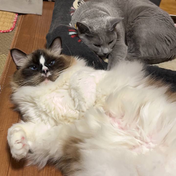 63b2e7cf 02a5 46b5 af0b 5d27cc2ea9ad 1703494054769