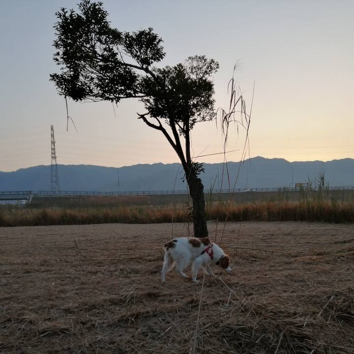 63b30793 1640 4311 bada 5b3f2f63548f 1608682197646