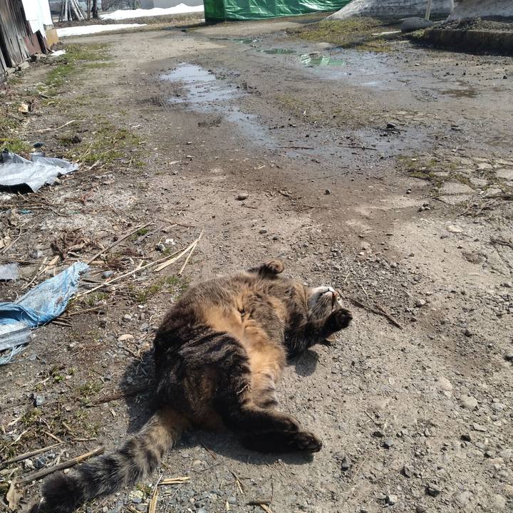 63b34340 74e6 4442 8402 e6a8edbc09a2 1678415863366