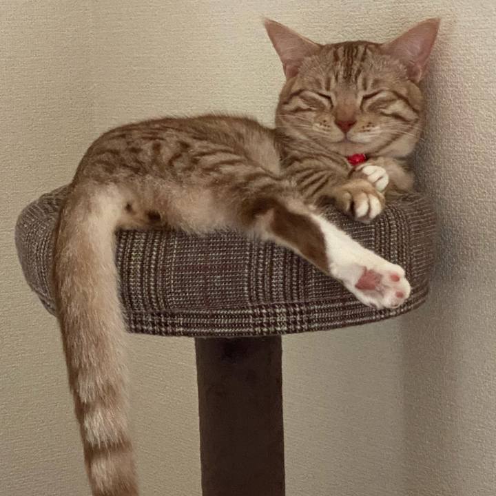 63b38142 f6c7 4dc8 9a21 37f453f68bc7 1628904963010