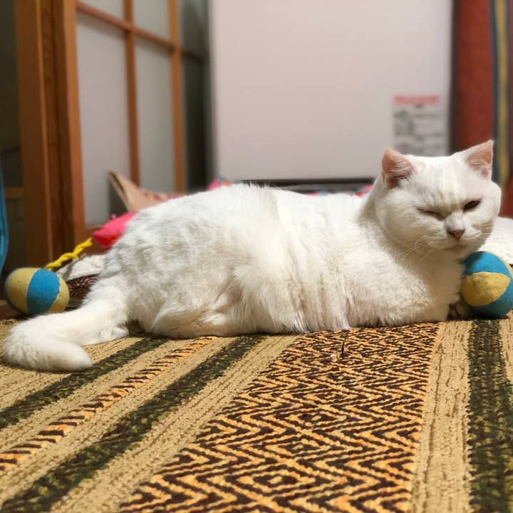 63b3c117 afd3 43d7 8493 f16243f915c3 1532691096806