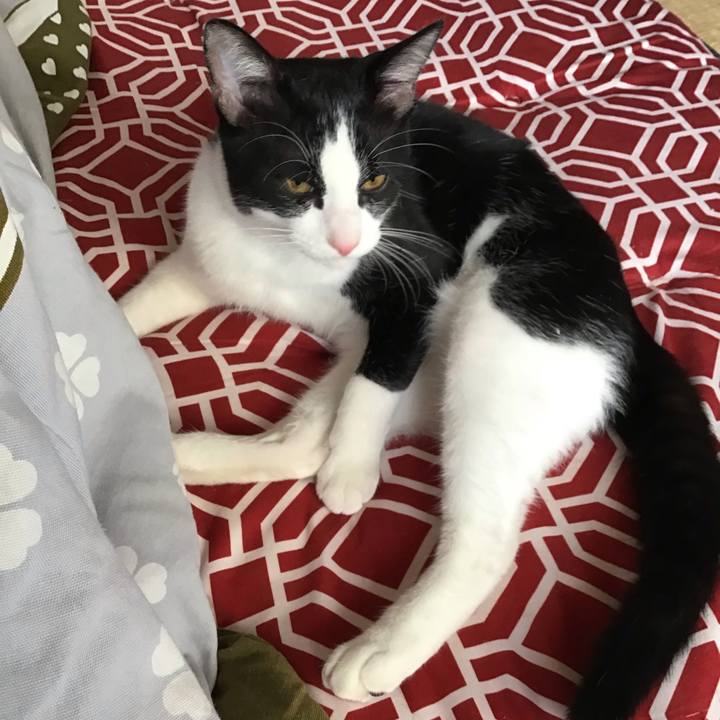 63b3d4fe 0336 4652 9508 a4f0eb4a2fbe 1634806094863