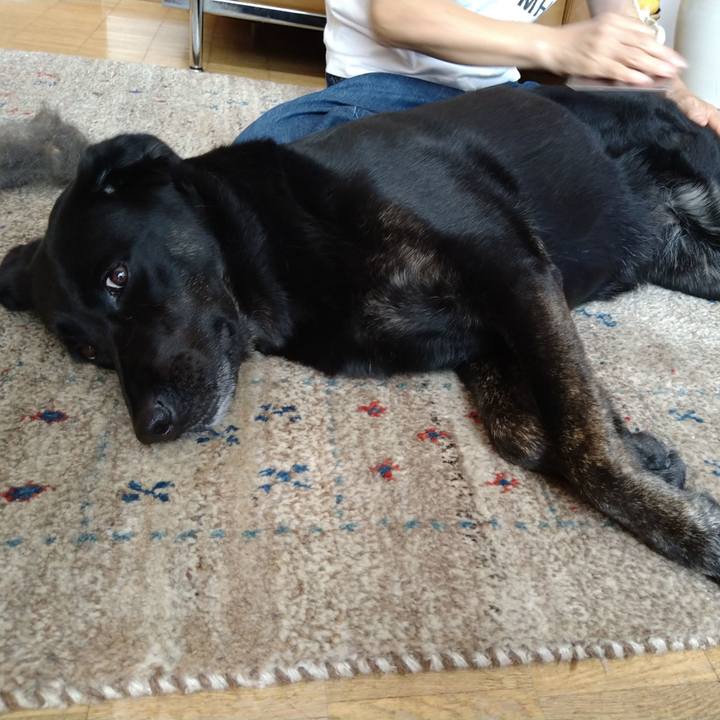 63b3fd61 539a 4d83 9490 f41a60c0903e 1601702350671