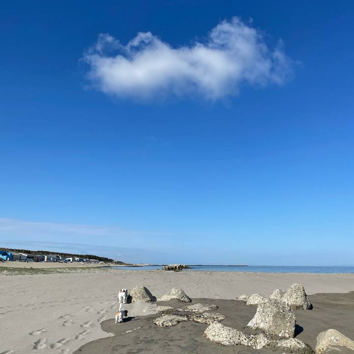 63b41216 7fe4 400d b111 c8c889913d4a 1620690556917