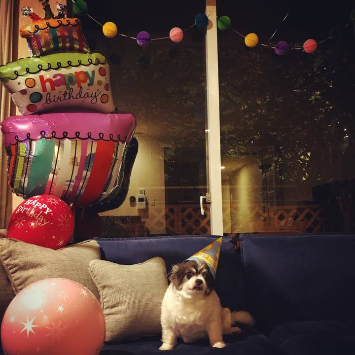 63b440b5 cbbf 4be4 a9a1 c7ea347ef02e 1510159738344