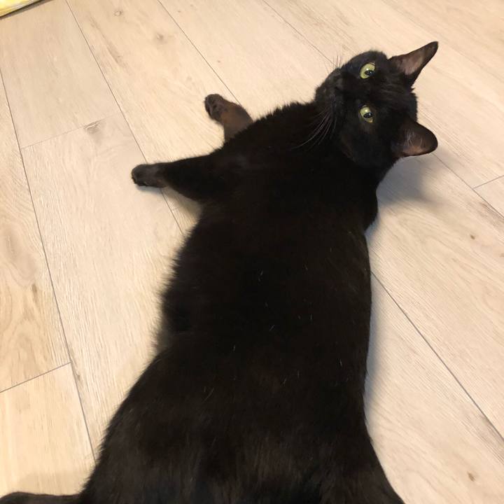 63b48a1c 32fe 4130 93eb 189a766d2f19 1515513840244