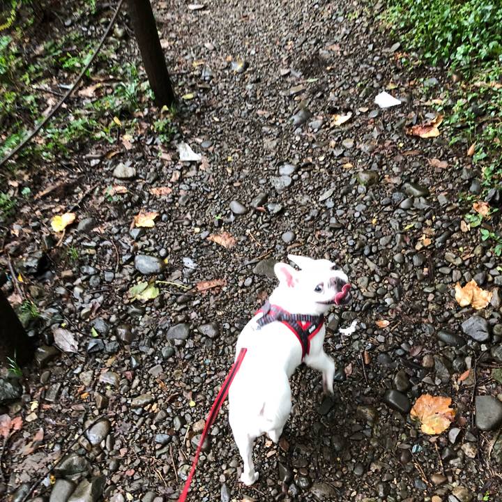 63b49902 6dbe 4c1f 97c5 6fde0916c60b 1538290172818