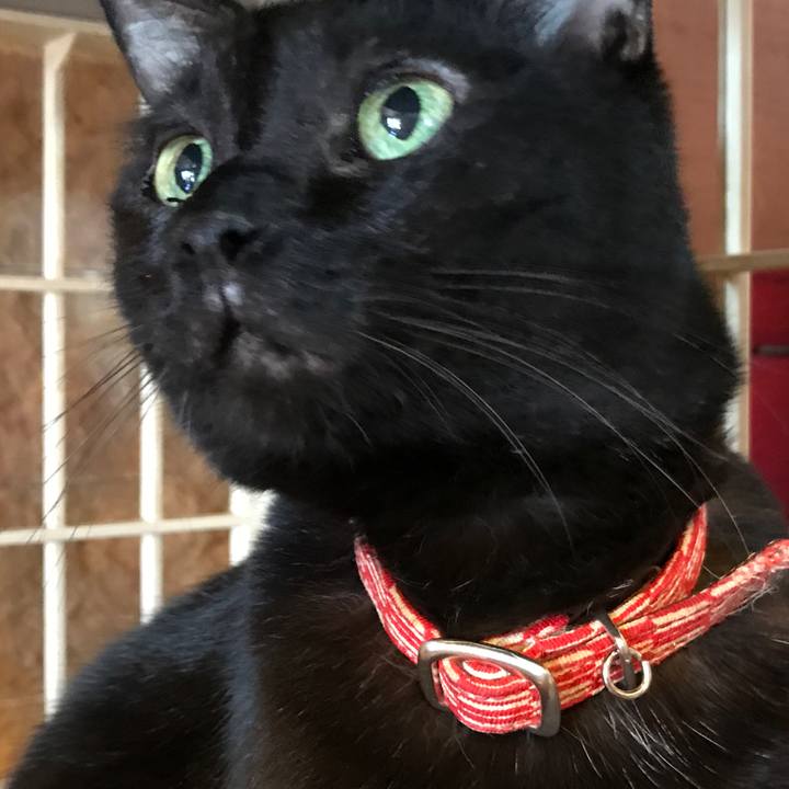 63b4b2ae 23fd 4873 9204 5a9603c82a1d 1509256242397