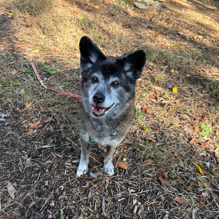 63b4bfa7 9661 4c6f 90f8 285c8e43da02 1764286312614