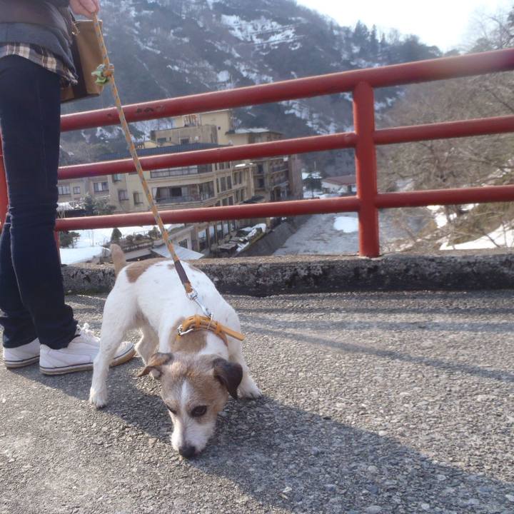 63b55b65 1660 4249 b8e4 a4205704df7c 1521106145197