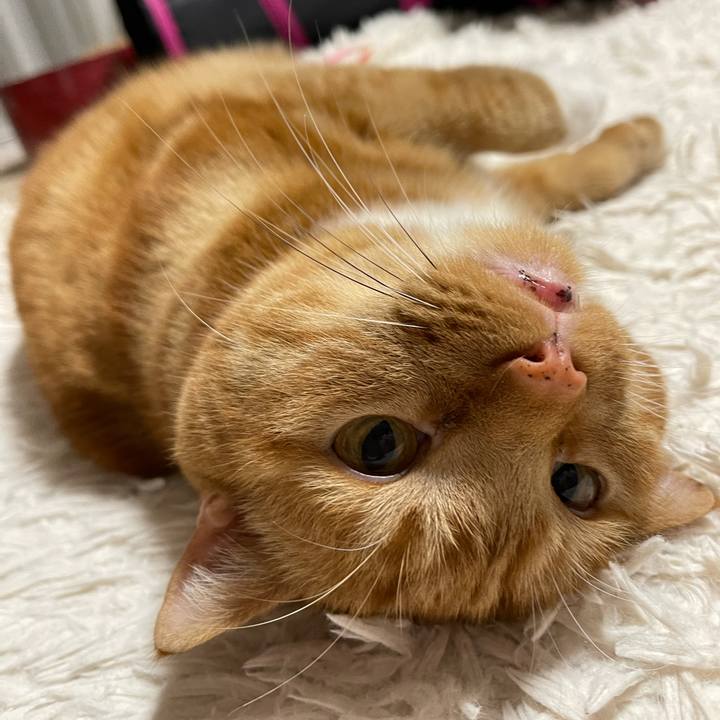 63b565db b638 4e2b b3f3 d5c2e41258b6 1649508703972