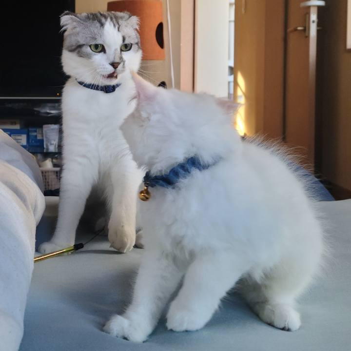 63b5bdd7 4431 48e7 bbc2 10f40c8ced90 1656060001591