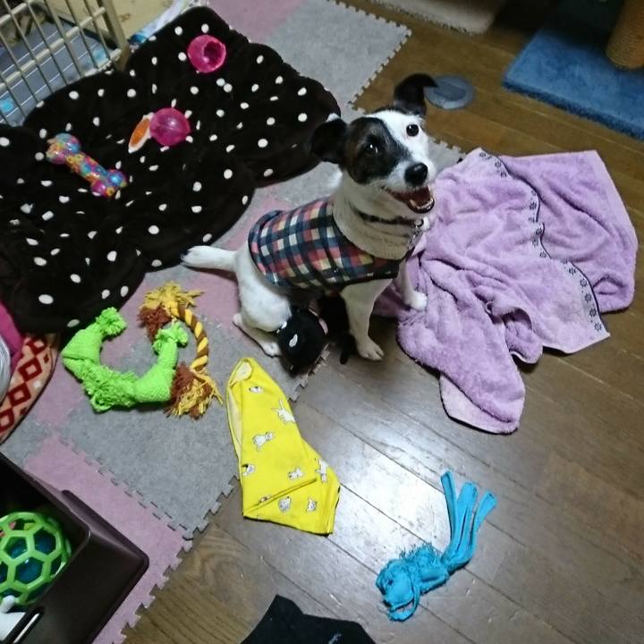 63b5c6fa 7ec5 47cd 890e 9c2e2e857da8 1509709158404