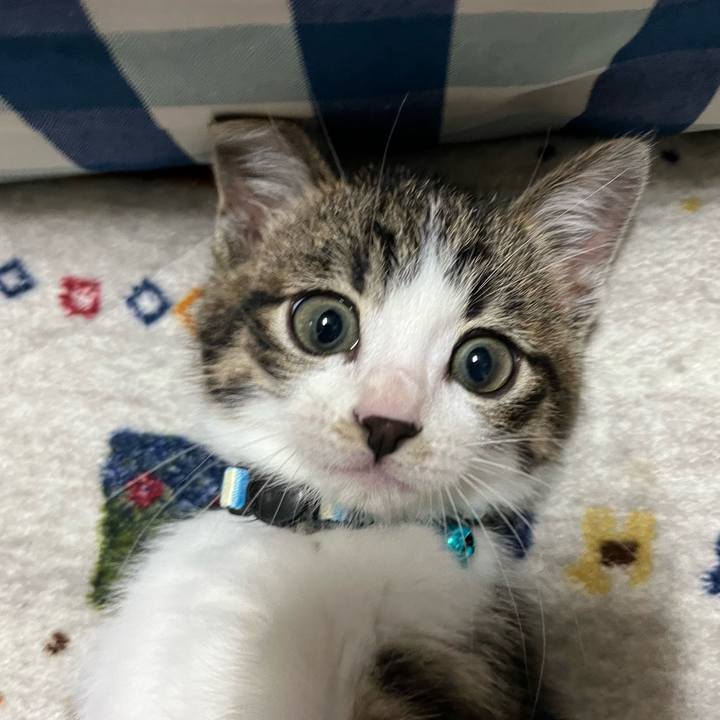 63b5c74d 4cc4 4ca0 b14f 7a364384b181 1766547284560