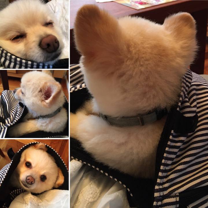 63b5e099 91fa 44ff 8056 401cf5386708 1594630285440