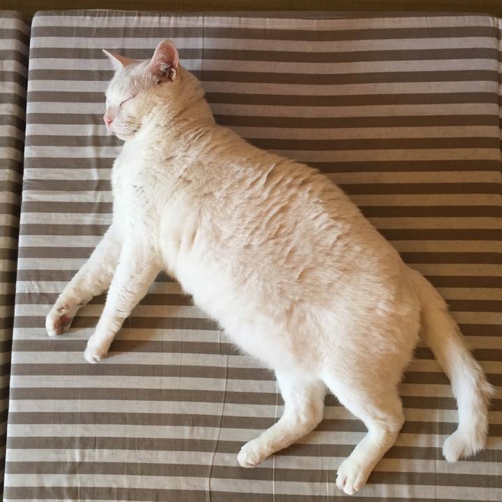 63b5fb3e 8de1 4cf4 b7a6 6d8c06523a3c 1530230845311