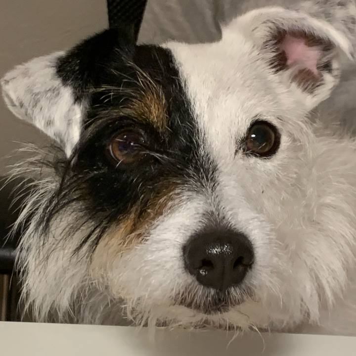 63b66e33 9e9f 4d1a 9cb5 14a7c6cfecda 1590486976470