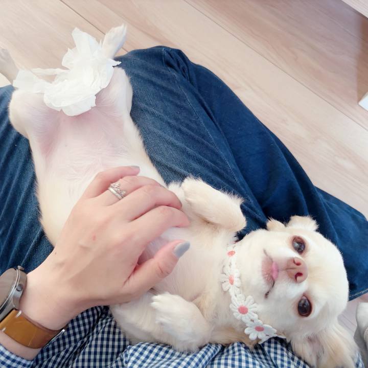 63b67cb3 2e2d 4e18 8d22 5ad2adb61bb3 1686707686744