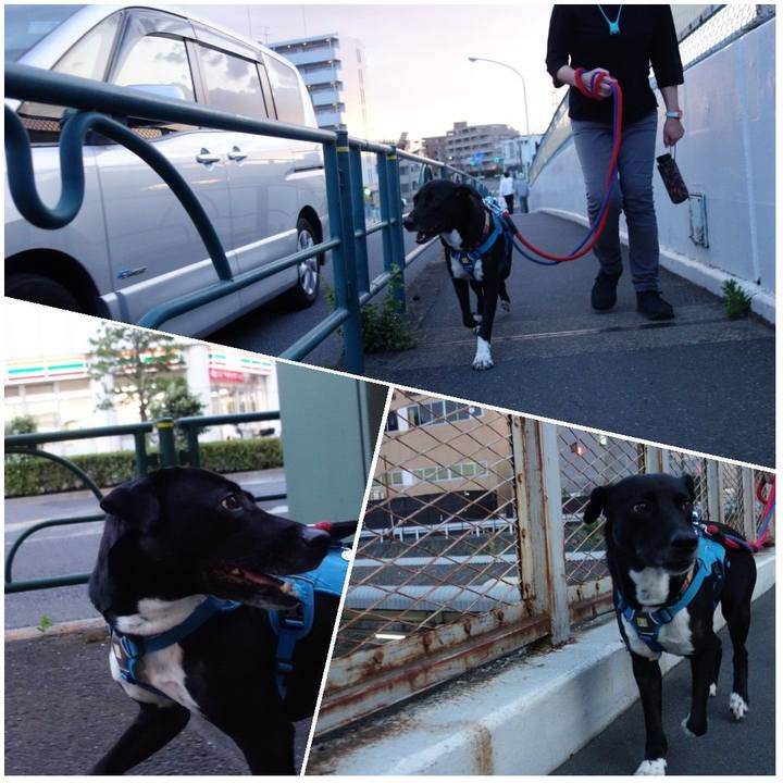 63b6a172 8a20 426b 8274 998b607567b5 1620558573451