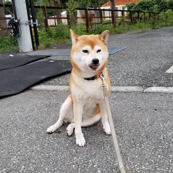 63b6b046 5ac8 4c54 87f3 56818274ecfd 1568276092934