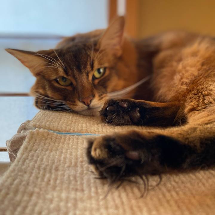 63b6c0ed 8eb0 496e 97e8 13eab0d8dda7 1665814061275