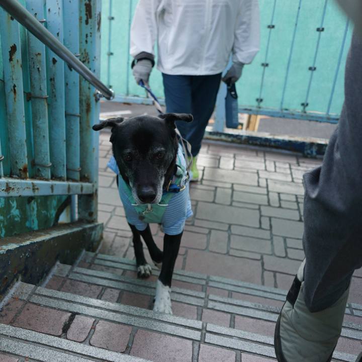 63b715ce d9e4 4c81 a4cf 8536441497f0 1771720026359