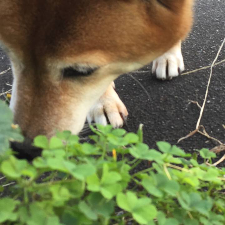 63b73a7b e161 43e3 a0bb e2235f3c5ee0 1573090962841