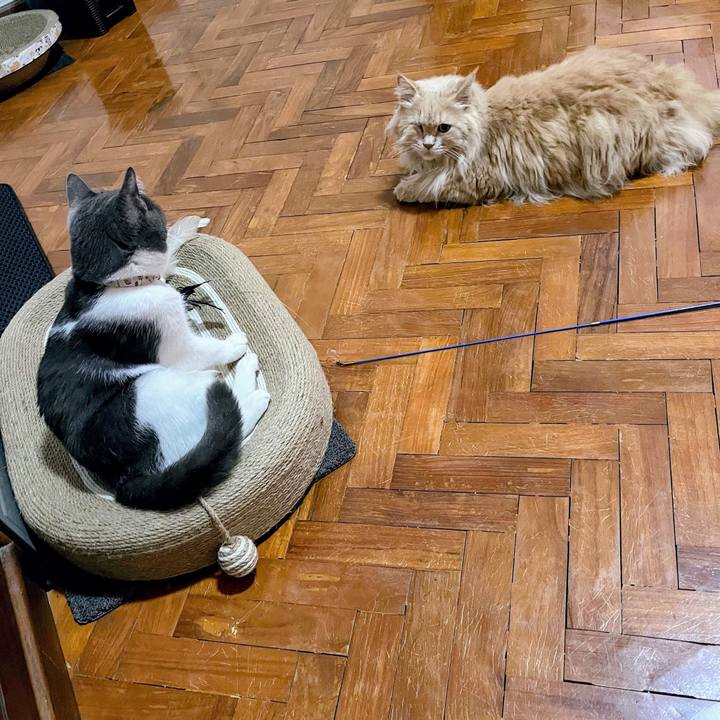 63b7658f d994 4656 9008 0ff4e526e11d 1766219031688