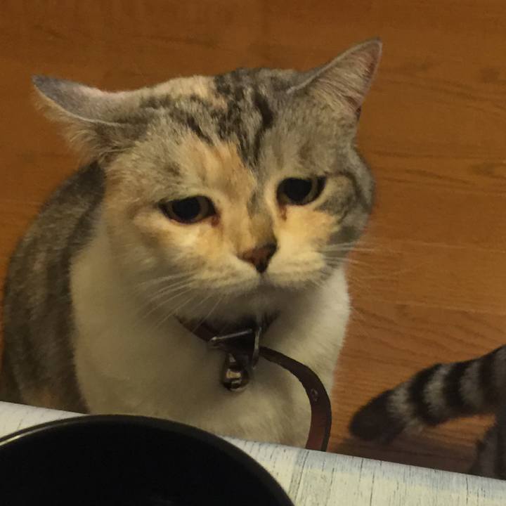 63b77dab ed16 48b3 920f 5ce942af93dd 1557068691031