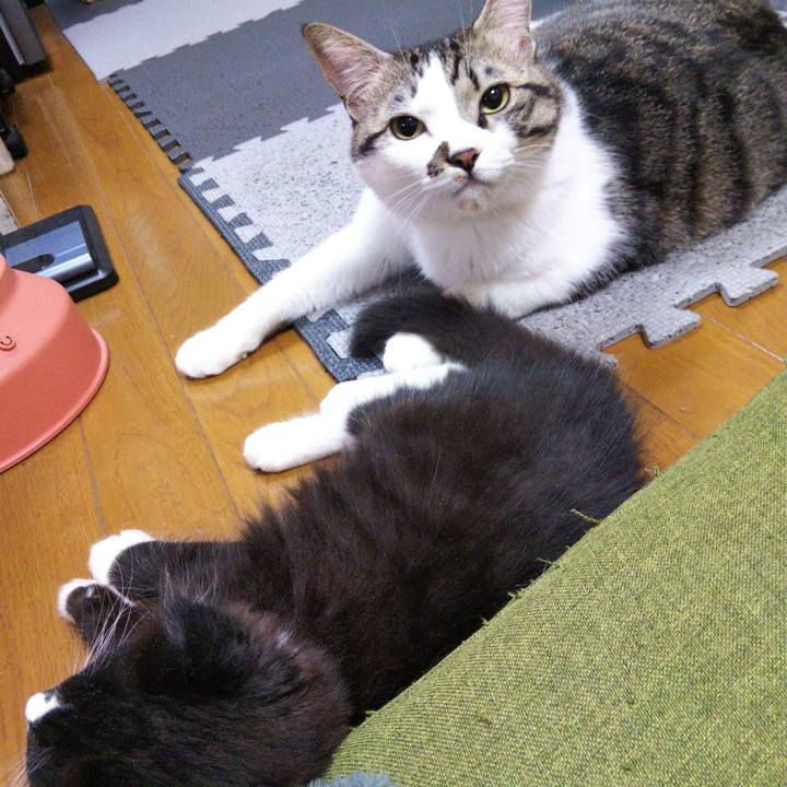 63b783f2 364e 4484 8f52 f44e684ca86a 1639660088258