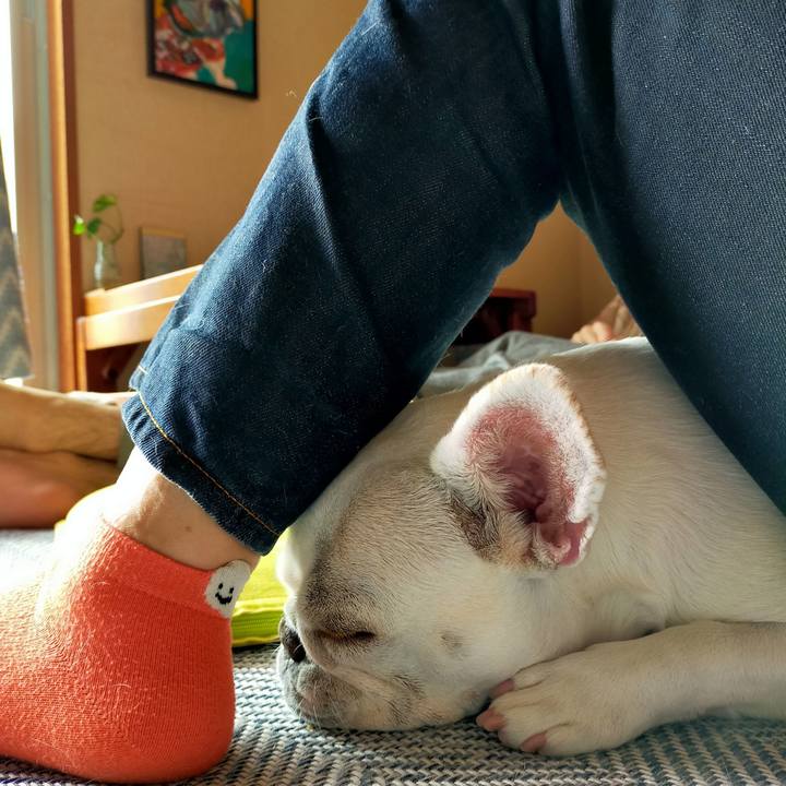 63b7bd2f 6bed 4fe9 bc2b 1cd6118cacc8 1666301626947