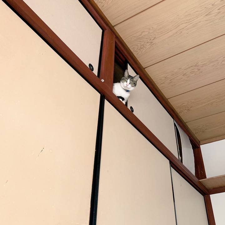 63b7f885 6776 4f8c 944a 9b1fe25b4c35 1545271849575