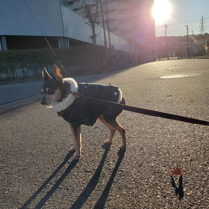 63b87a9a 8f10 44c9 a97d f370398f47d8 1671891358169