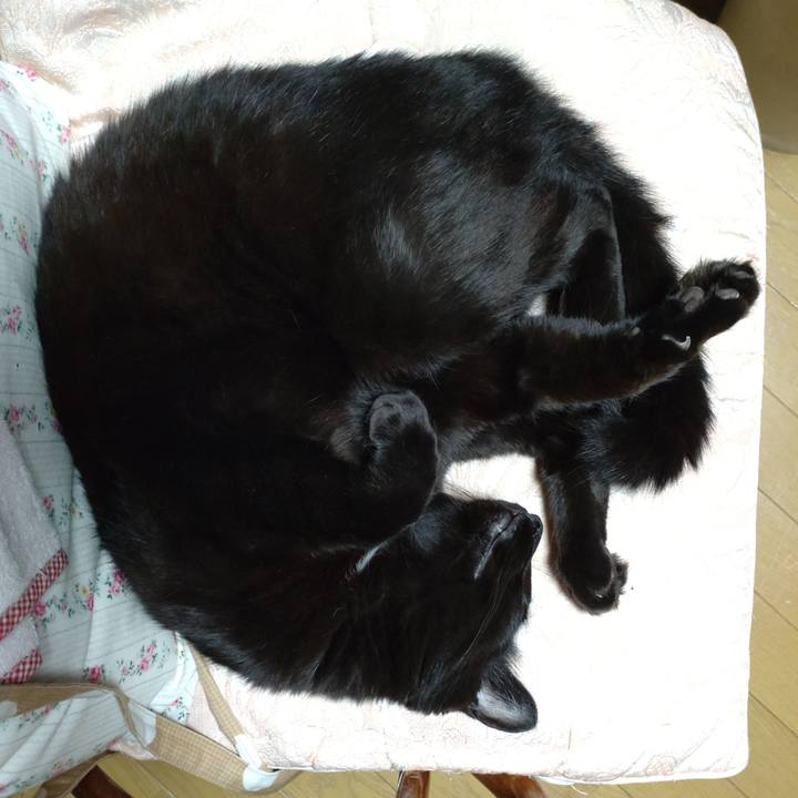 63b88ca9 4329 418b ae94 d9c78cfccbb5 1632397422586