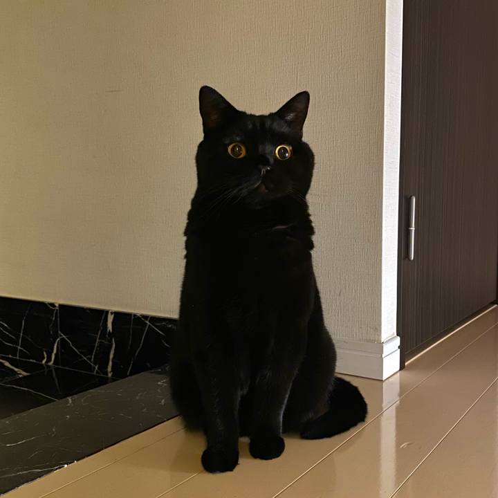 63b8b247 76e0 4fa2 82d6 a18aefc783e4 1618659649050