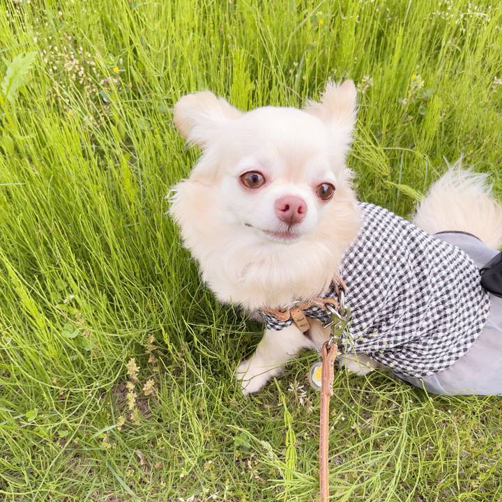 63b8b878 adbd 48ca a67e 6fd3262df122 1747986548421