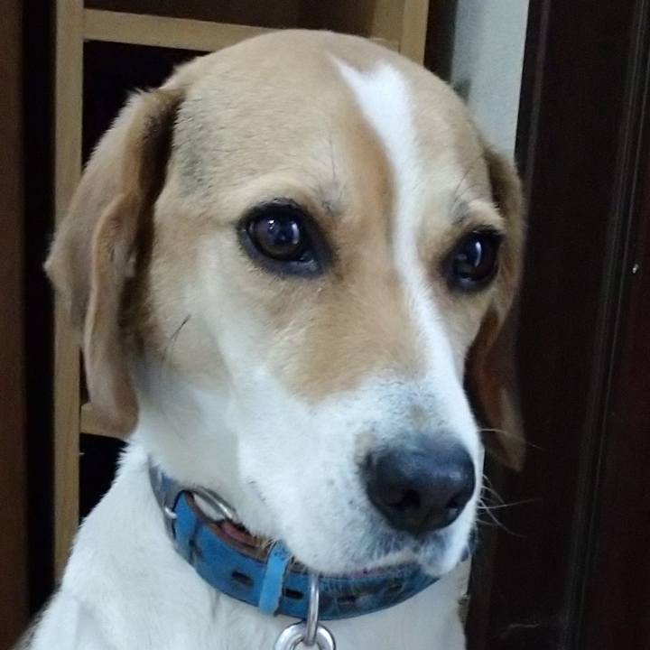 63b8c24f a90c 45e2 a0ec 2707b8bbb827 1610884389566