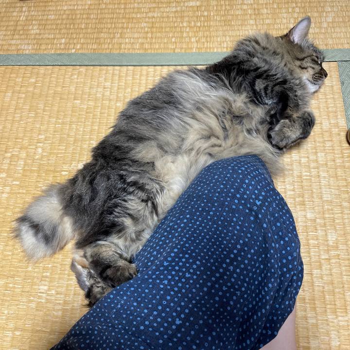 63b8c346 0369 4e1e 944c cd2d91bc67b0 1753625197458