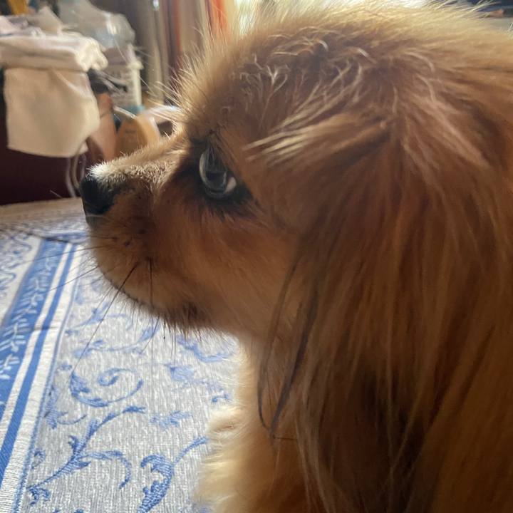 63b8c34d ac51 4805 9c41 287ca8e66608 1627334961606